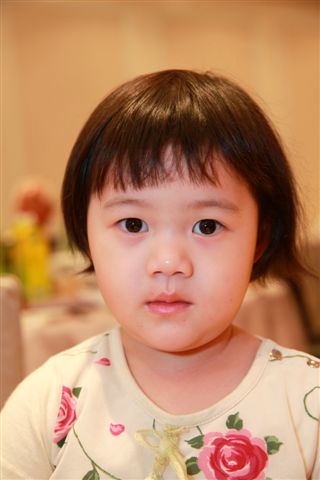 ChX260.jpg