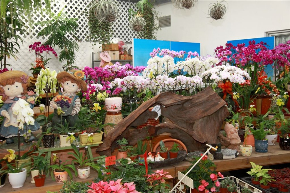 P72.jpg