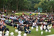 G141.jpg