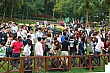 G159.jpg