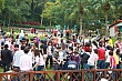 G163.jpg