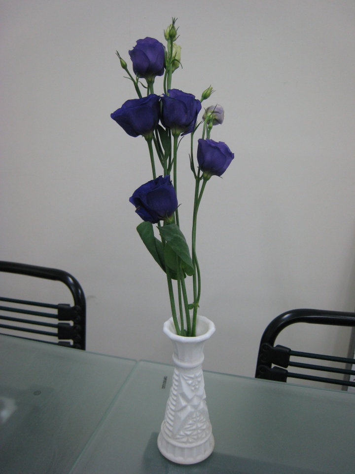 1628_64.jpg