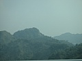 8529.jpg