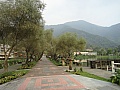 8551.jpg