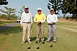 g066.jpg