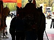 D1214.jpg
