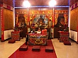 D1236.jpg