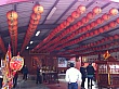D1243.jpg