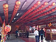 D1244.jpg