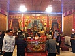 D1272.jpg