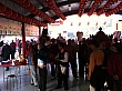 D1307.jpg