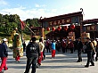 D1318.jpg
