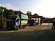D1331.jpg