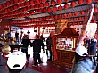 D1337.jpg