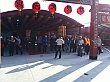 D1342.jpg