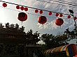 D1367.jpg