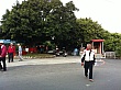 D1372.jpg