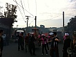D1377.jpg