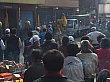 D1384.jpg