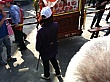 D1393.jpg