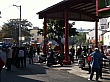 D1399.jpg