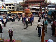 D1446.jpg