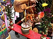 D1462.jpg