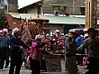 D1473.jpg