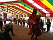 D1486.jpg