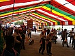 D1487.jpg
