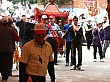 D1490.jpg