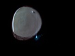 1030_120.jpg