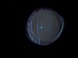 1103_90.jpg