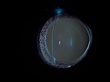1103_91.jpg