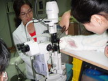 t@G() Slit Lamp Ex.